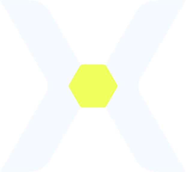 WEBXPAY X